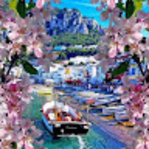 Meet your Posher, Sonia